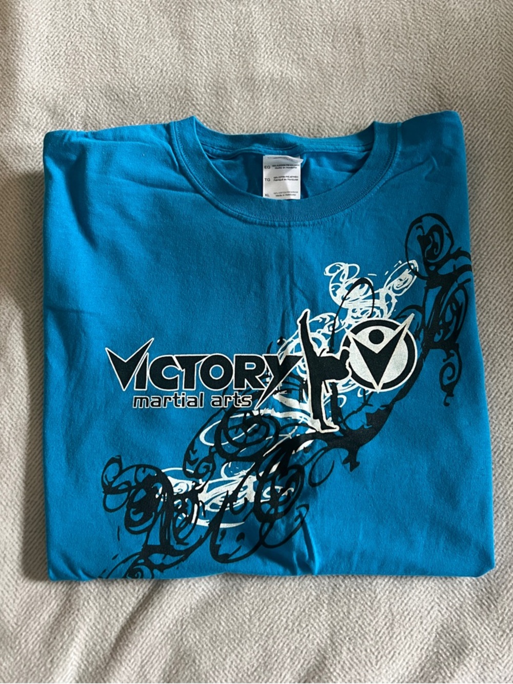 Victory Martial Arts Men's Teal Graphic T-Shirt